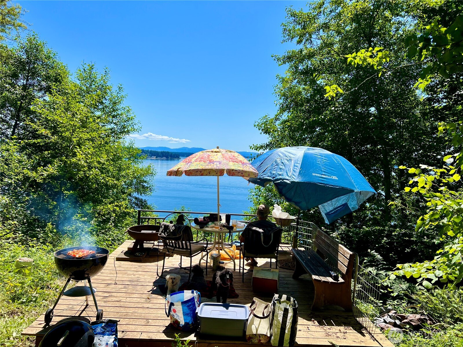 6908 190th Avenue Southwest Longbranch, WA 98351 - Photo 4 of 11 a view of a chairs and table in backyard