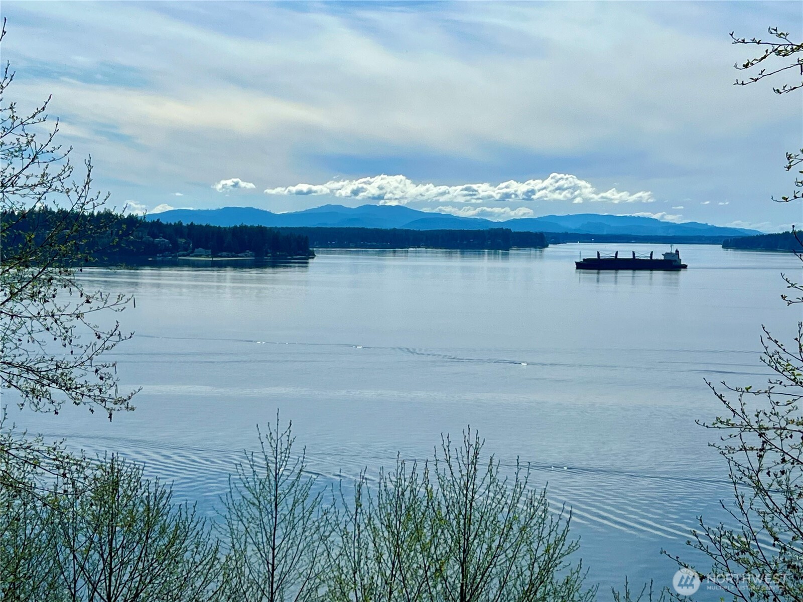 6908 190th Avenue Southwest Longbranch, WA 98351 - Photo 8 of 11