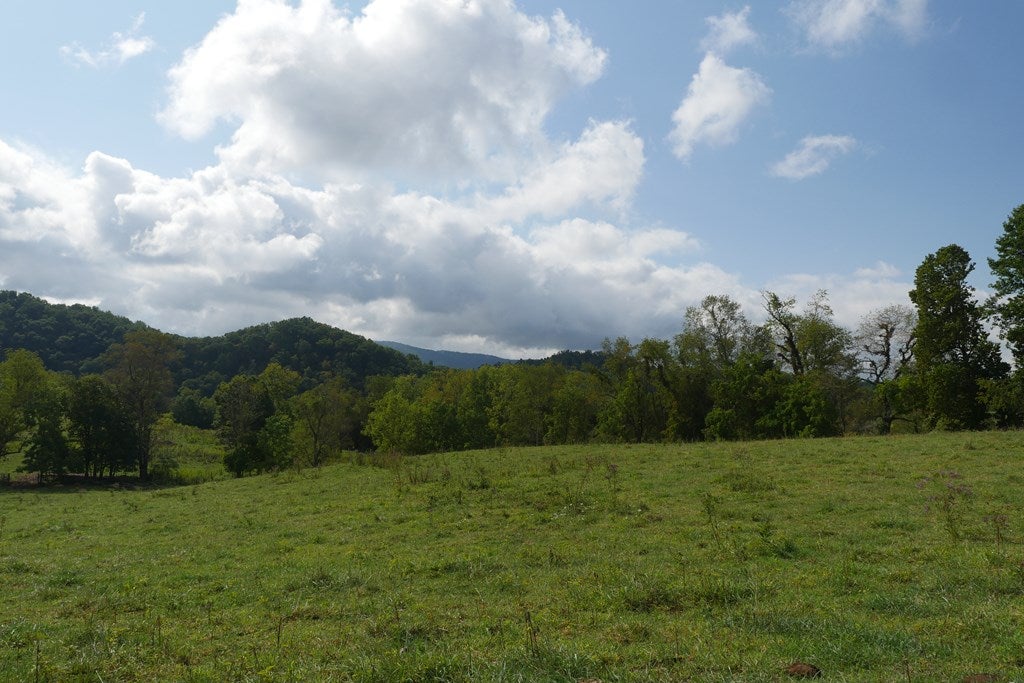 Tbd South Fork River Road Glade Spring, VA 24340 - Photo 5 of 25 Gallery Image 5