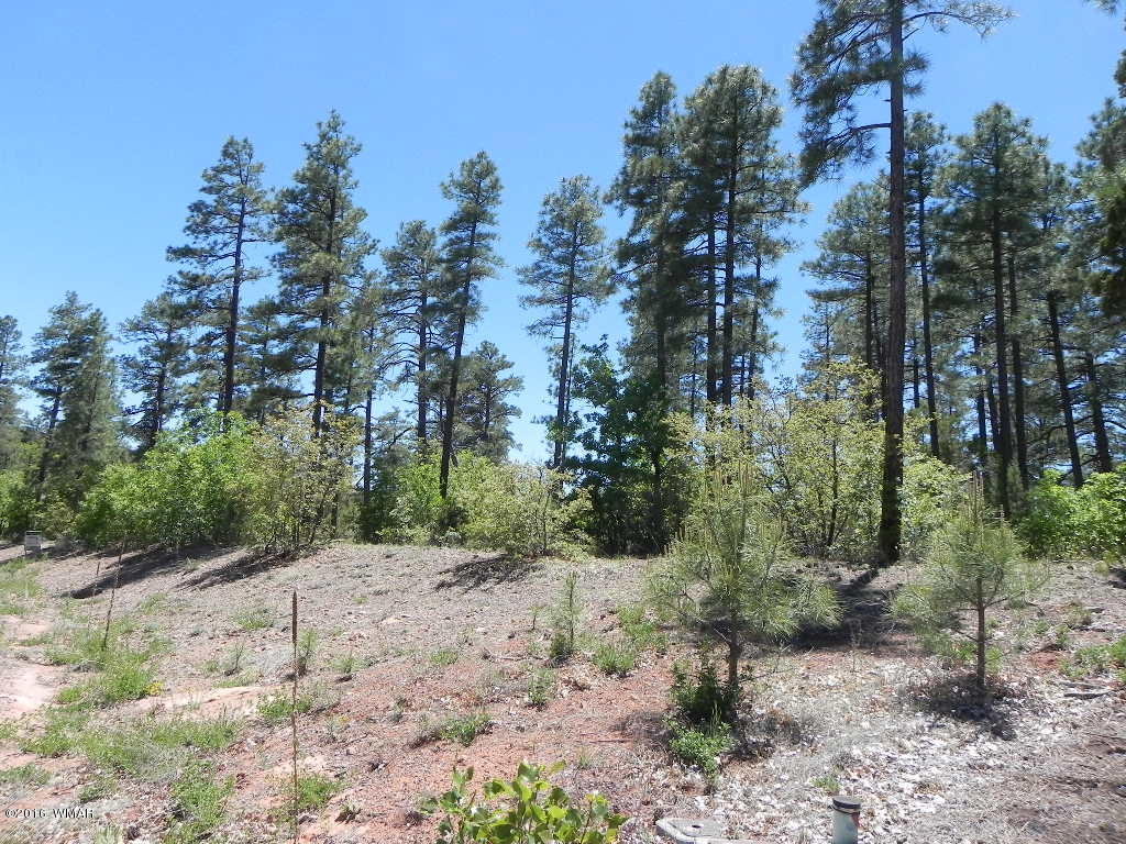 5980 Rim Road Lakeside, AZ 85929 - Photo 1 of 18 Gallery Image 1