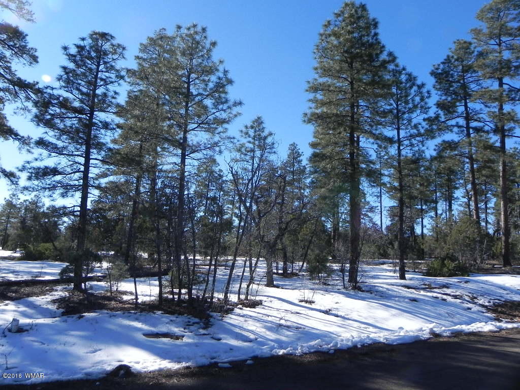 5980 Rim Road Lakeside, AZ 85929 - Photo 11 of 18 Gallery Image 11