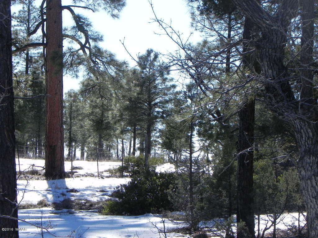 5980 Rim Road Lakeside, AZ 85929 - Photo 12 of 18 Gallery Image 12