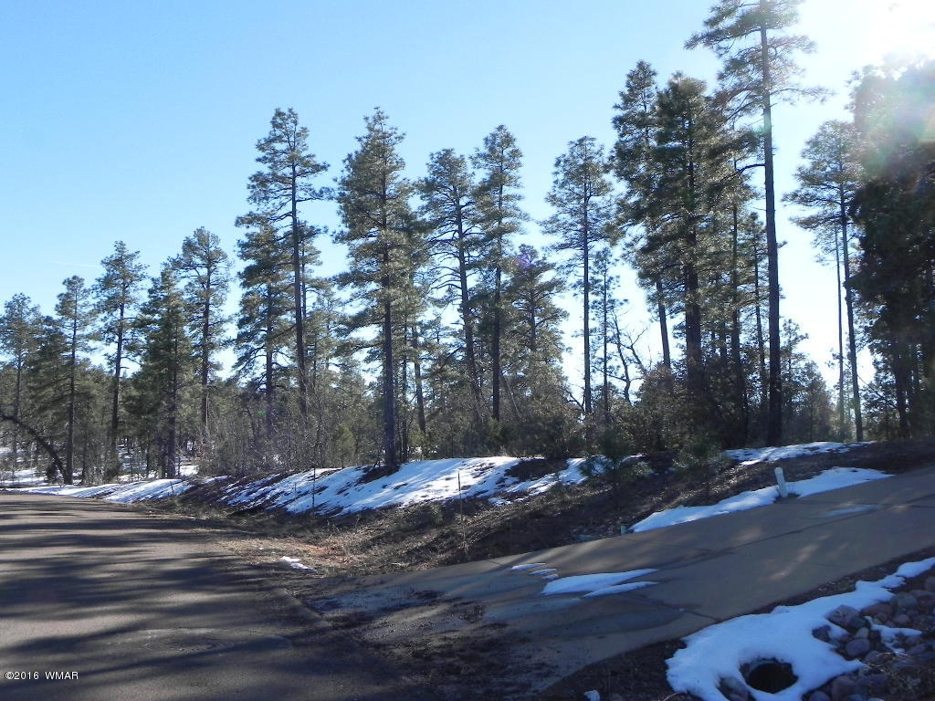 5980 Rim Road Lakeside, AZ 85929 - Photo 13 of 18 Gallery Image 13