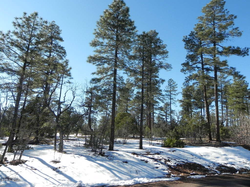 5980 Rim Road Lakeside, AZ 85929 - Photo 18 of 18 Gallery Image 18
