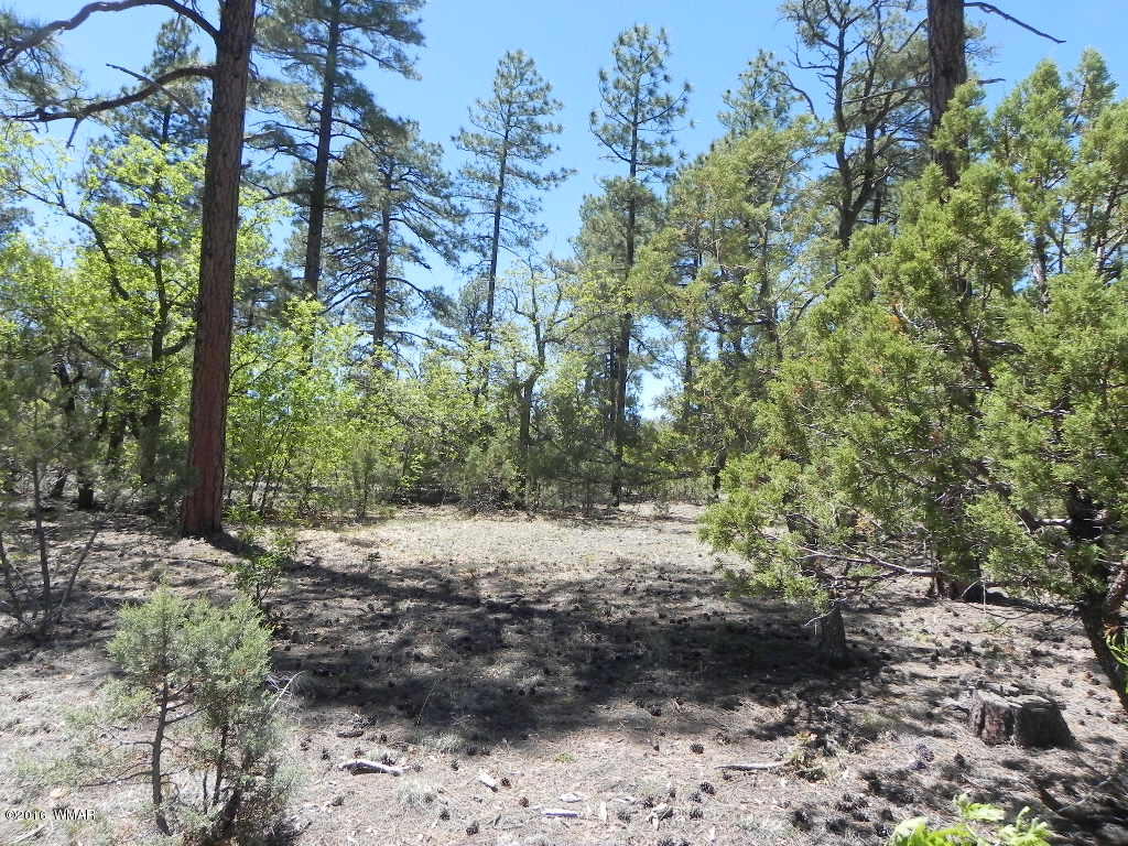 5980 Rim Road Lakeside, AZ 85929 - Photo 3 of 18 Gallery Image 3