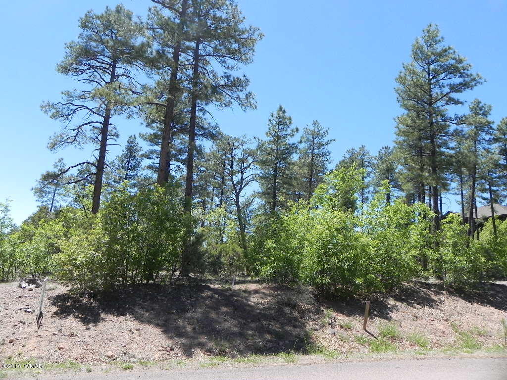 5980 Rim Road Lakeside, AZ 85929 - Photo 5 of 18 Gallery Image 5