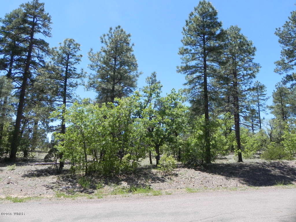 5980 Rim Road Lakeside, AZ 85929 - Photo 7 of 18 Gallery Image 7
