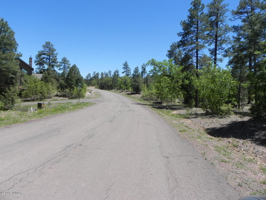 5980 Rim Road Lakeside, AZ 85929 - Photo 9 of 18 Gallery Image 9