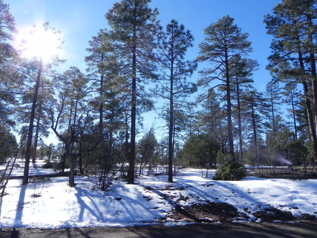 5980 Rim Road Lakeside, AZ 85929 - Photo 10 of 18 Gallery Image 10