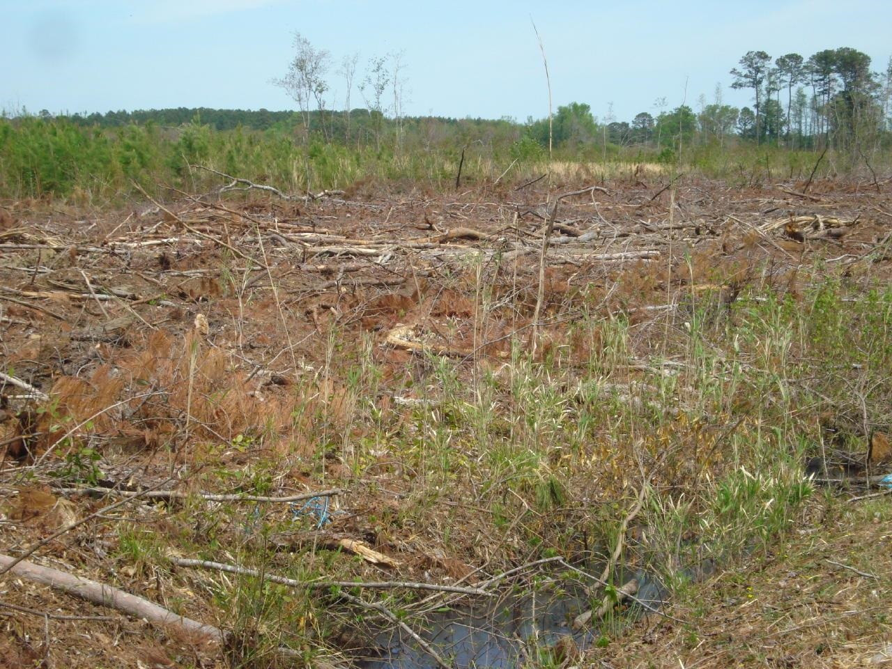 Obj Road Dunn, NC 28334 - Photo 18 of 19 Photo 18