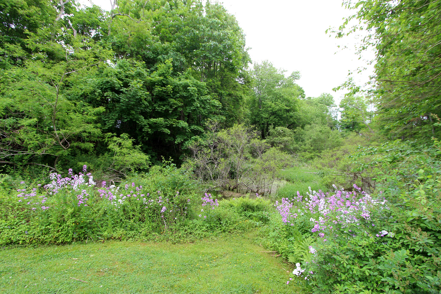810 Lower Road Brewster, MA 02631 - Photo 5 of 38 flower garden