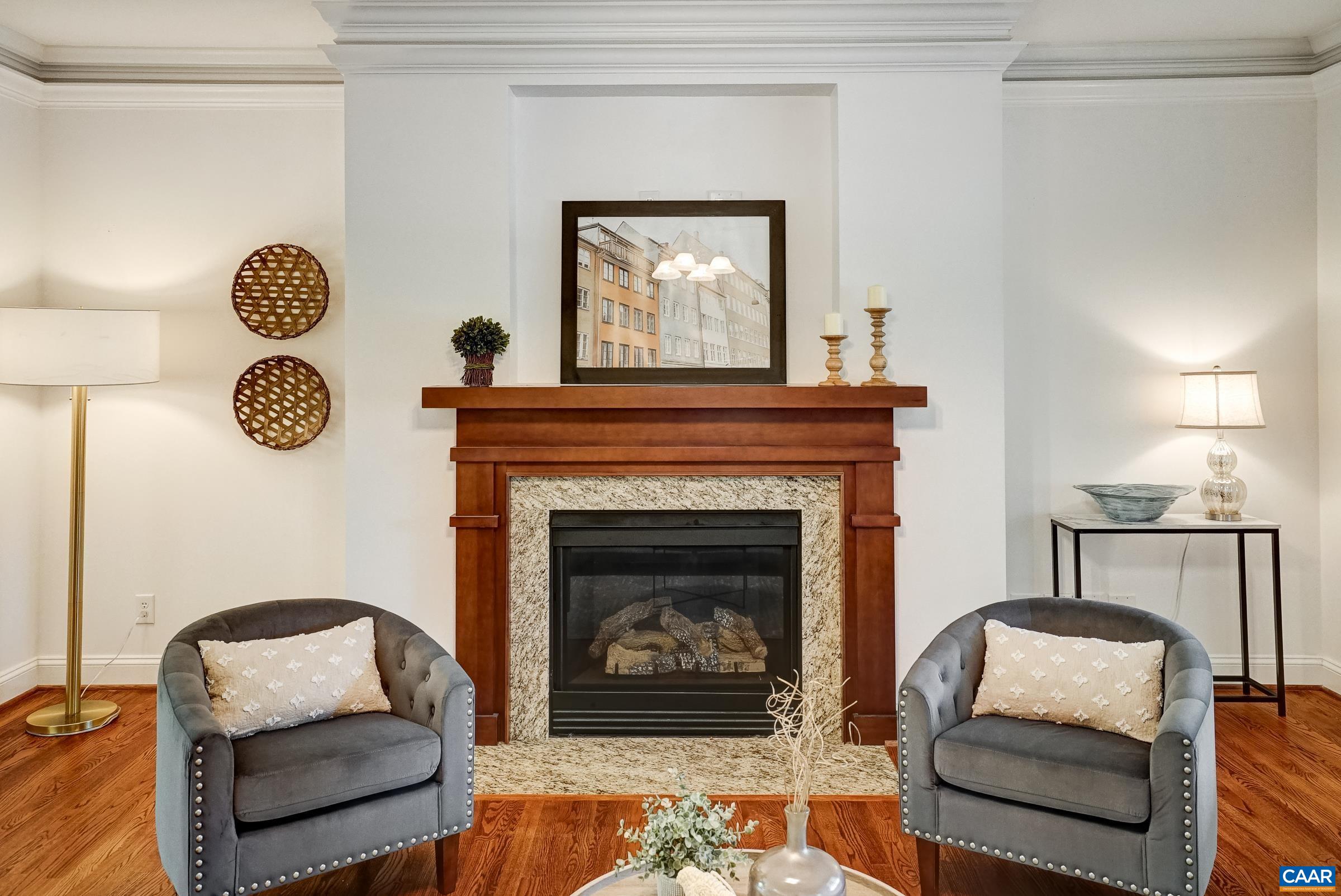 5223 Brook View Road Crozet, VA 22932 - Photo 13 of 63 Living room