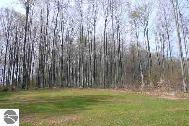 8804 Mockerman Road Southeast Fife Lake, MI 49633 - Photo 23 of 25 1735216-22.JPG
