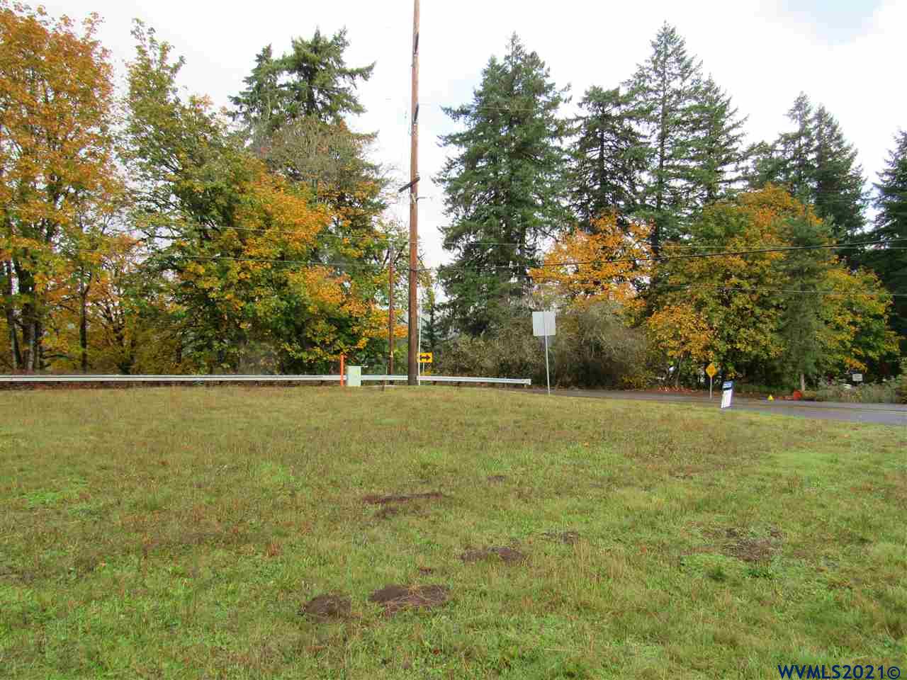 0000659 Mccully Mtn Road Lyons, OR 97358 - Photo 4 of 6 Gallery Image 4