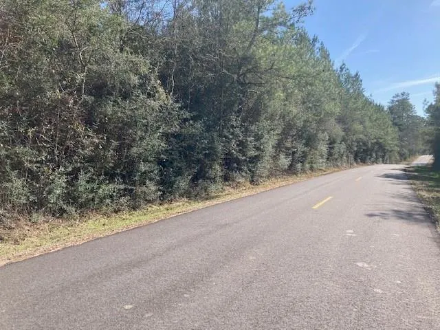 $149,000 | 0 B F Roberts Road, Mount Hermon, LA 70450