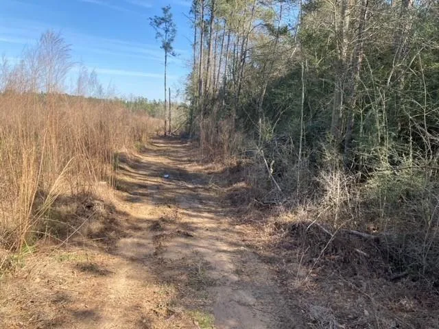 $149,000 | 0 B F Roberts Road, Mount Hermon, LA 70450