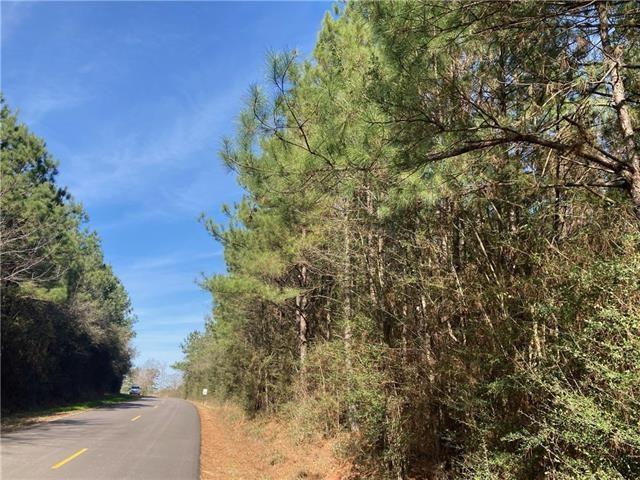 0 B F Roberts Road Mount Hermon, LA 70450 - Photo 4 of 6