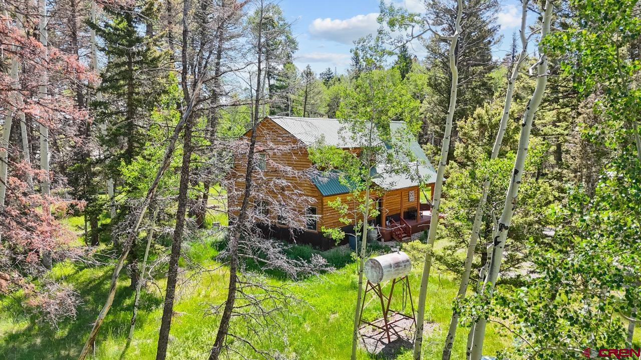 1380 Spruce Road Cimarron, CO 81220 - Photo 36 of 40