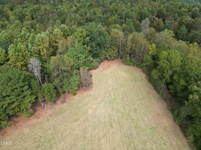 a view of a yard with plants