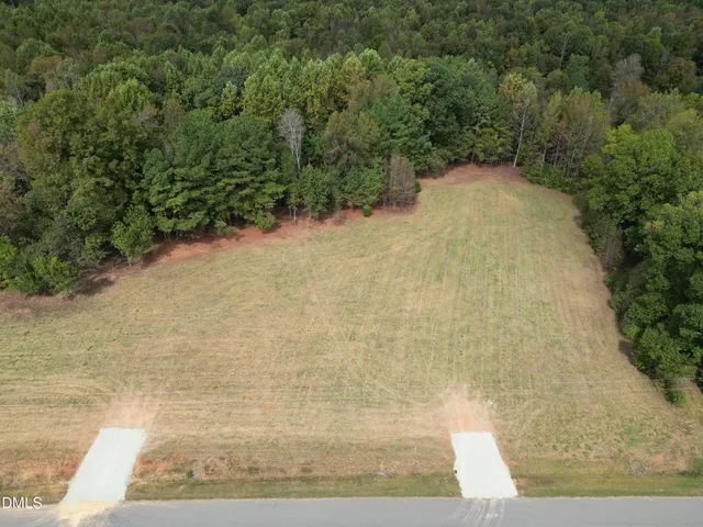 a view of a yard with trees