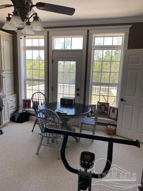 4946 James Hendricks Road Jay, FL 32565 - Photo 29 of 49