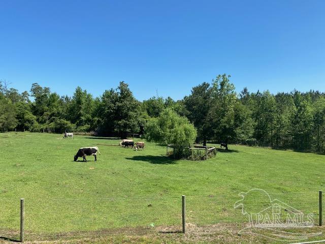 4946 James Hendricks Road Jay, FL 32565 - Photo 4 of 49