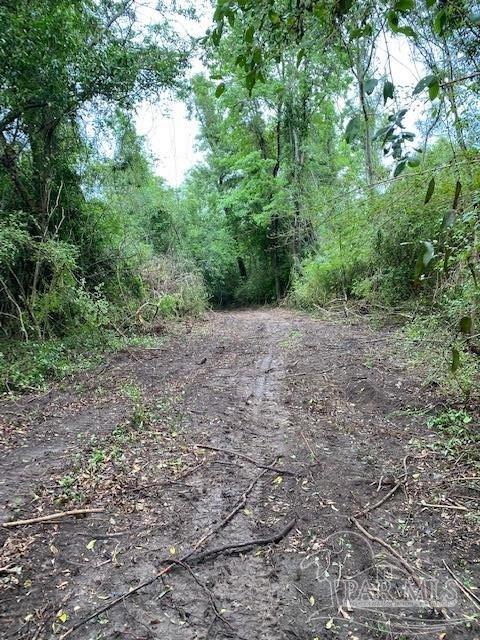 4946 James Hendricks Road Jay, FL 32565 - Photo 45 of 49