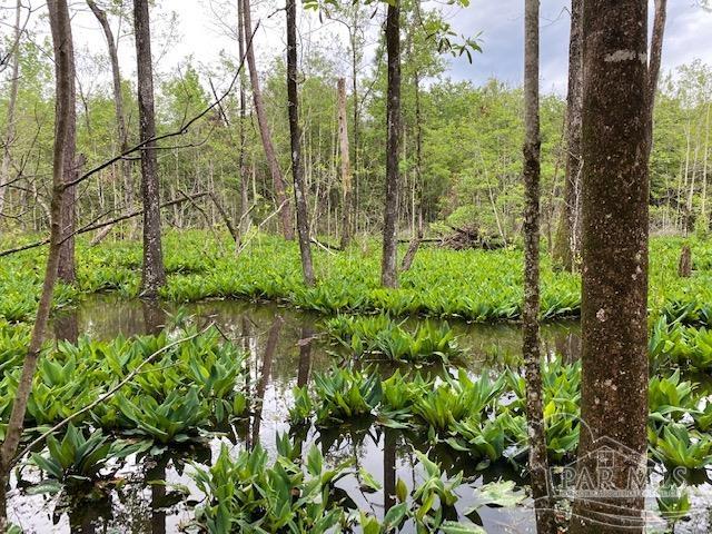 4946 James Hendricks Road Jay, FL 32565 - Photo 49 of 49