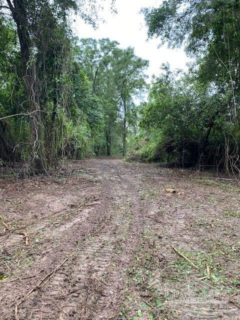 4946 James Hendricks Road Jay, FL 32565 - Photo 9 of 49