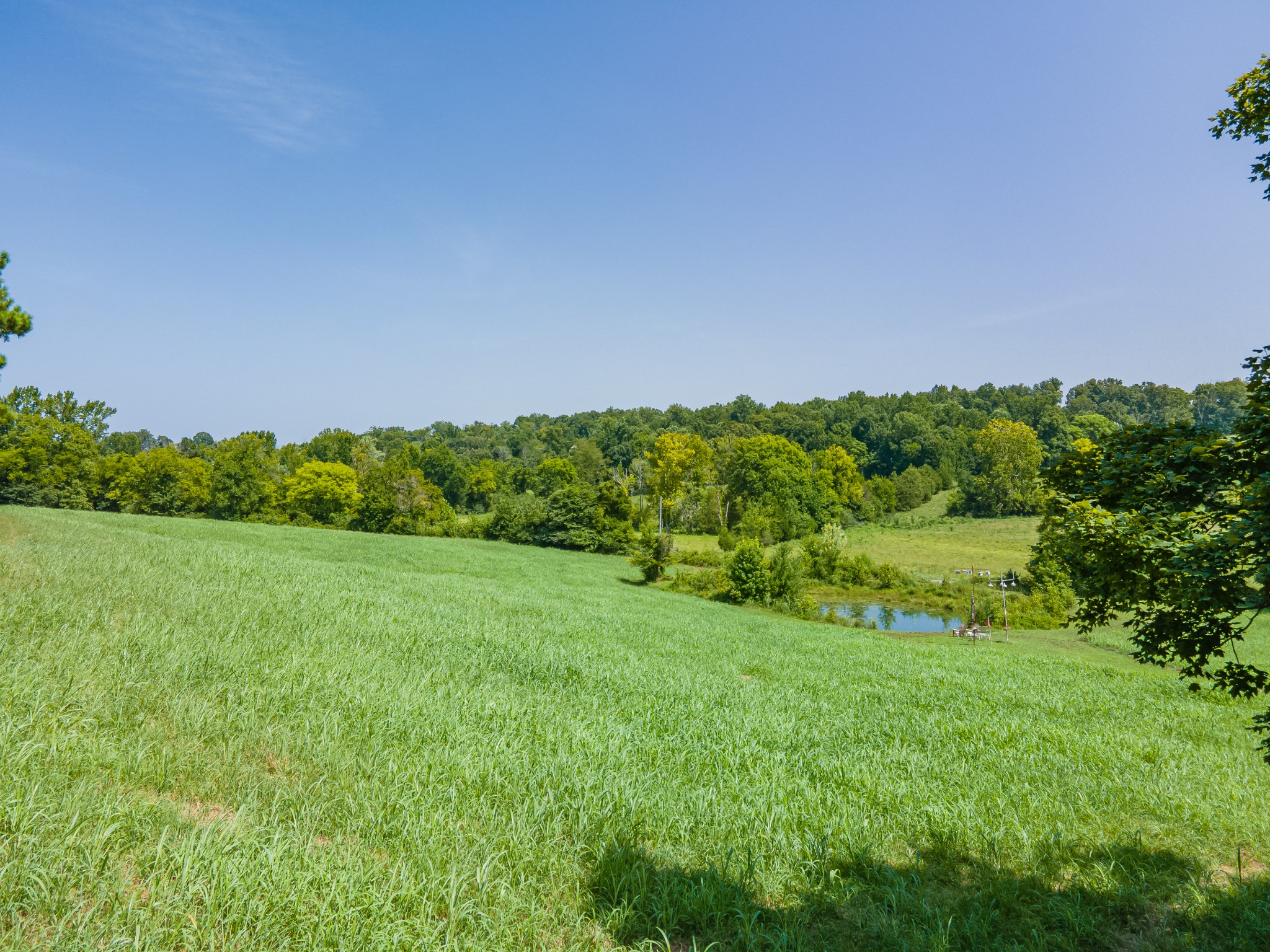 7020 Morgan Creek Road Centerville, TN 37033 - Photo 92 of 99 Gallery Image 92