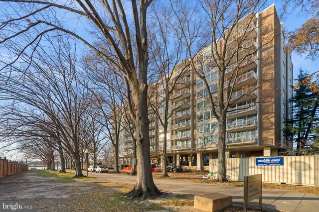 a living room with furniture a dining table and a floor to ceiling window