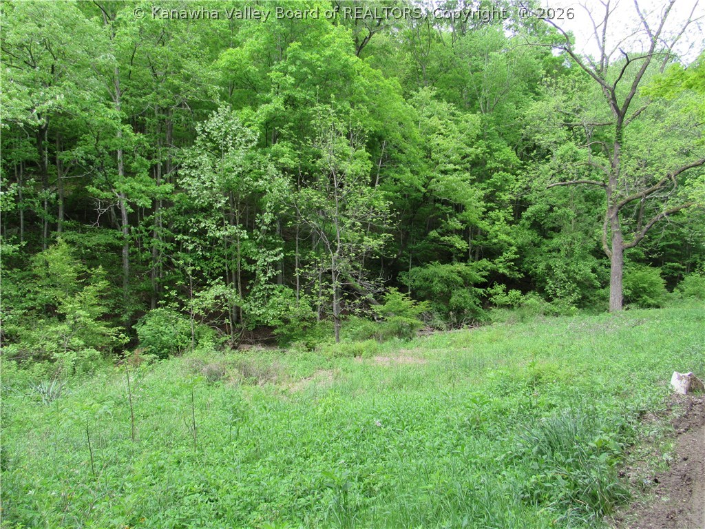 0 2nd Creek Road Kenna, WV 25248 - Photo 32 of 47 Gallery Image 32