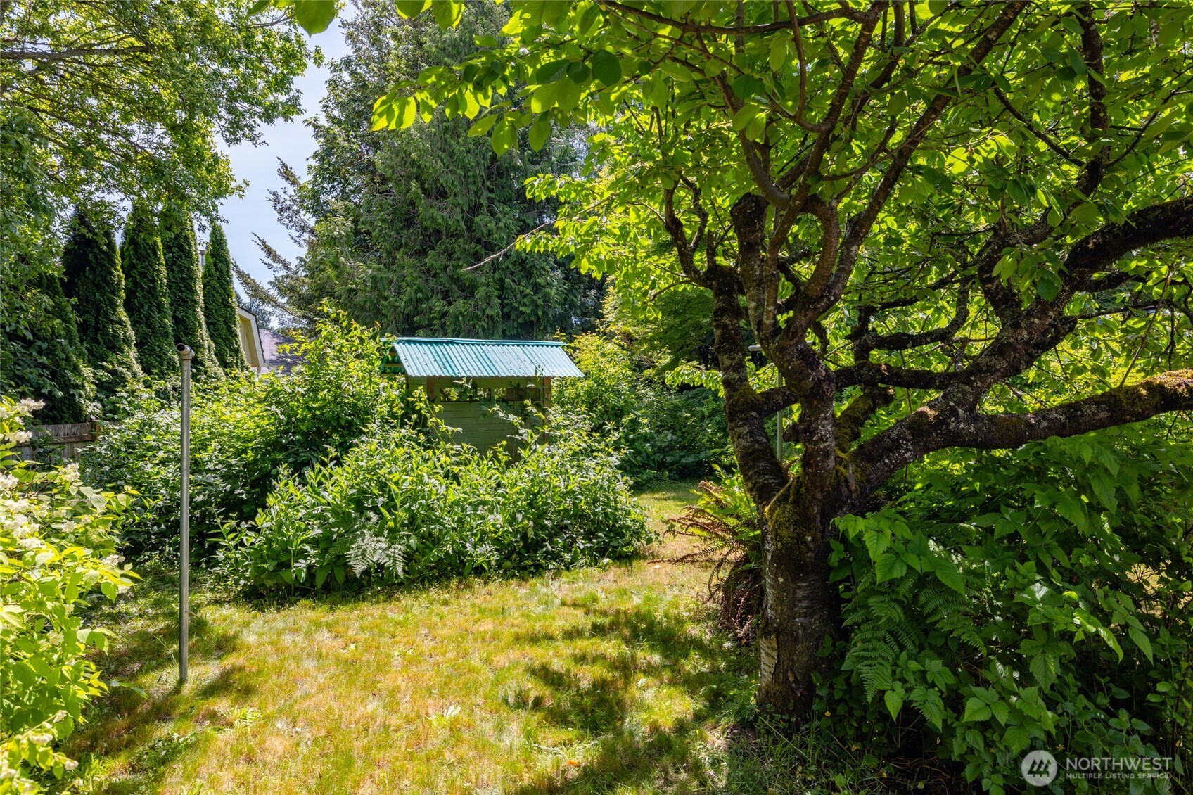 21316 Rolling Ridge Drive Sedro-Woolley, WA 98284 - Photo 28 of 37 a view of a back yard