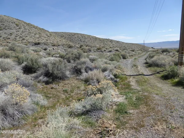 a view of a dry field with mountains in the background