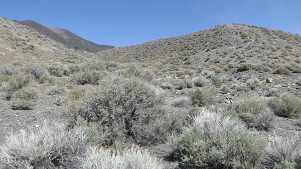 $9,000 | 104 Toquima Way, Unit 41, Austin, NV 89310