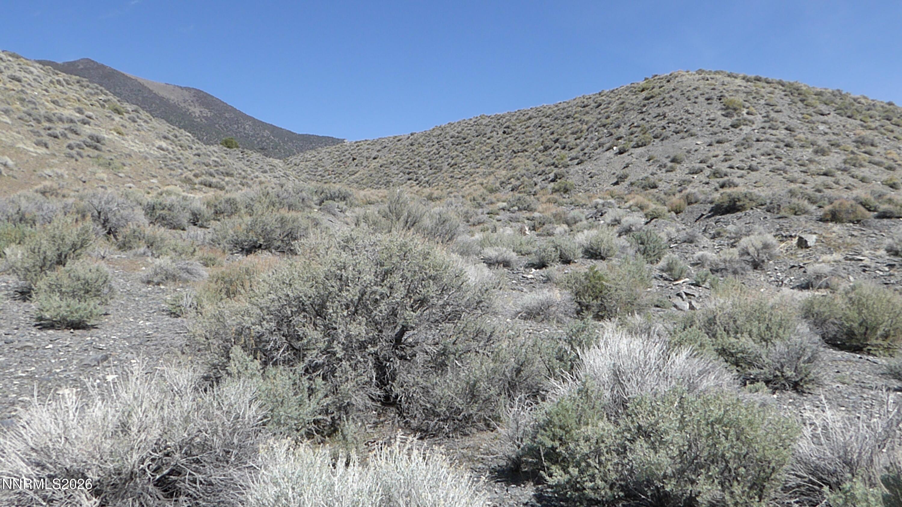 104 Toquima Way, Unit 41 Austin, NV 89310 - Photo 8 of 8 Terain