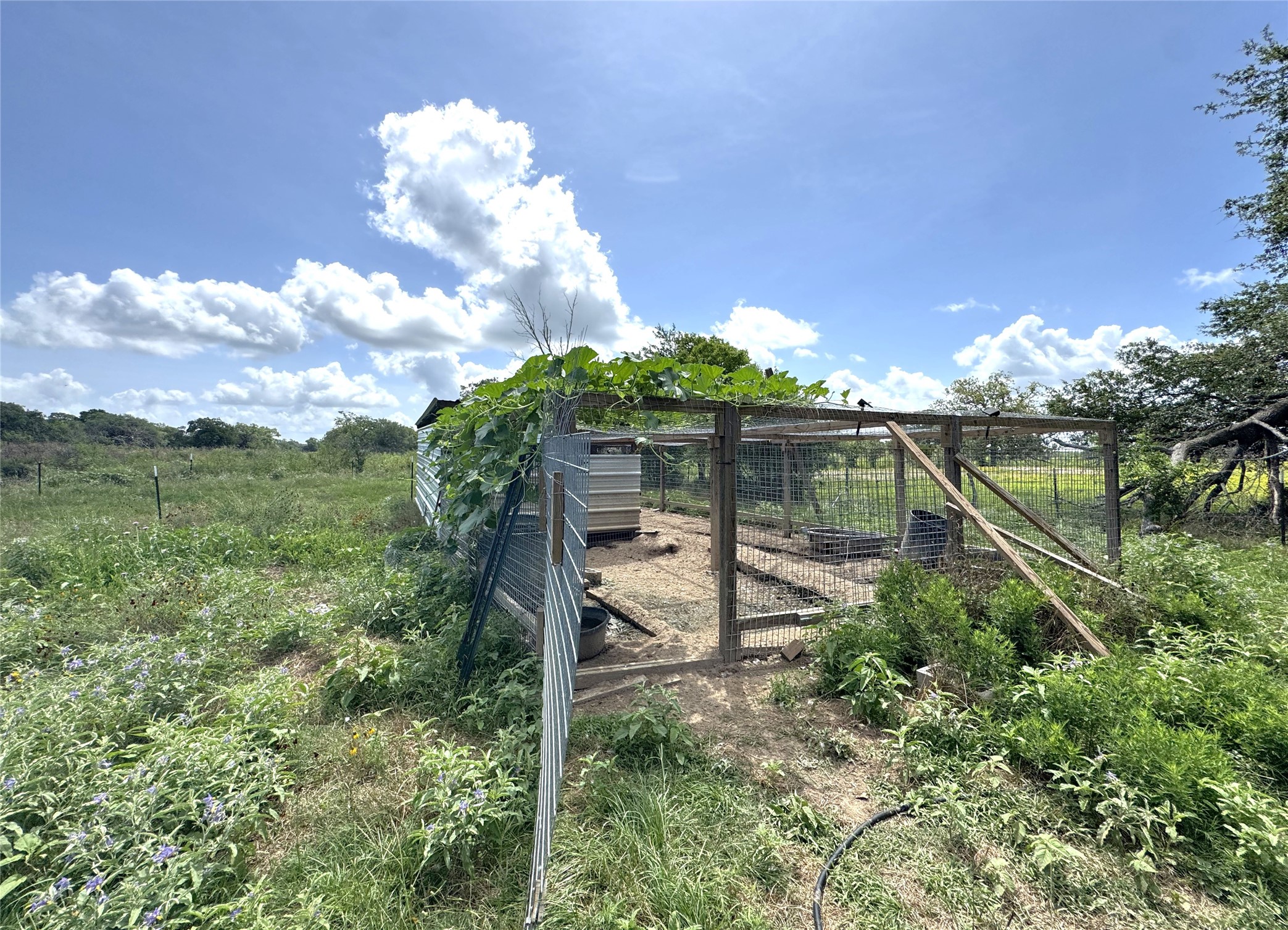 1435 Shaws Bend Road Columbus, TX 78934 - Photo 19 of 36 a view of a garden