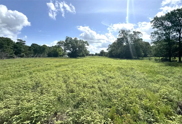 a view of outdoor space and yard
