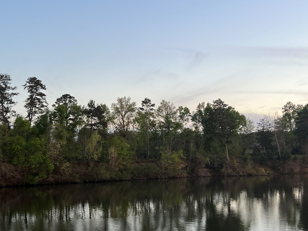 161 River Road Columbia, AL 36319 - Photo 2 of 13