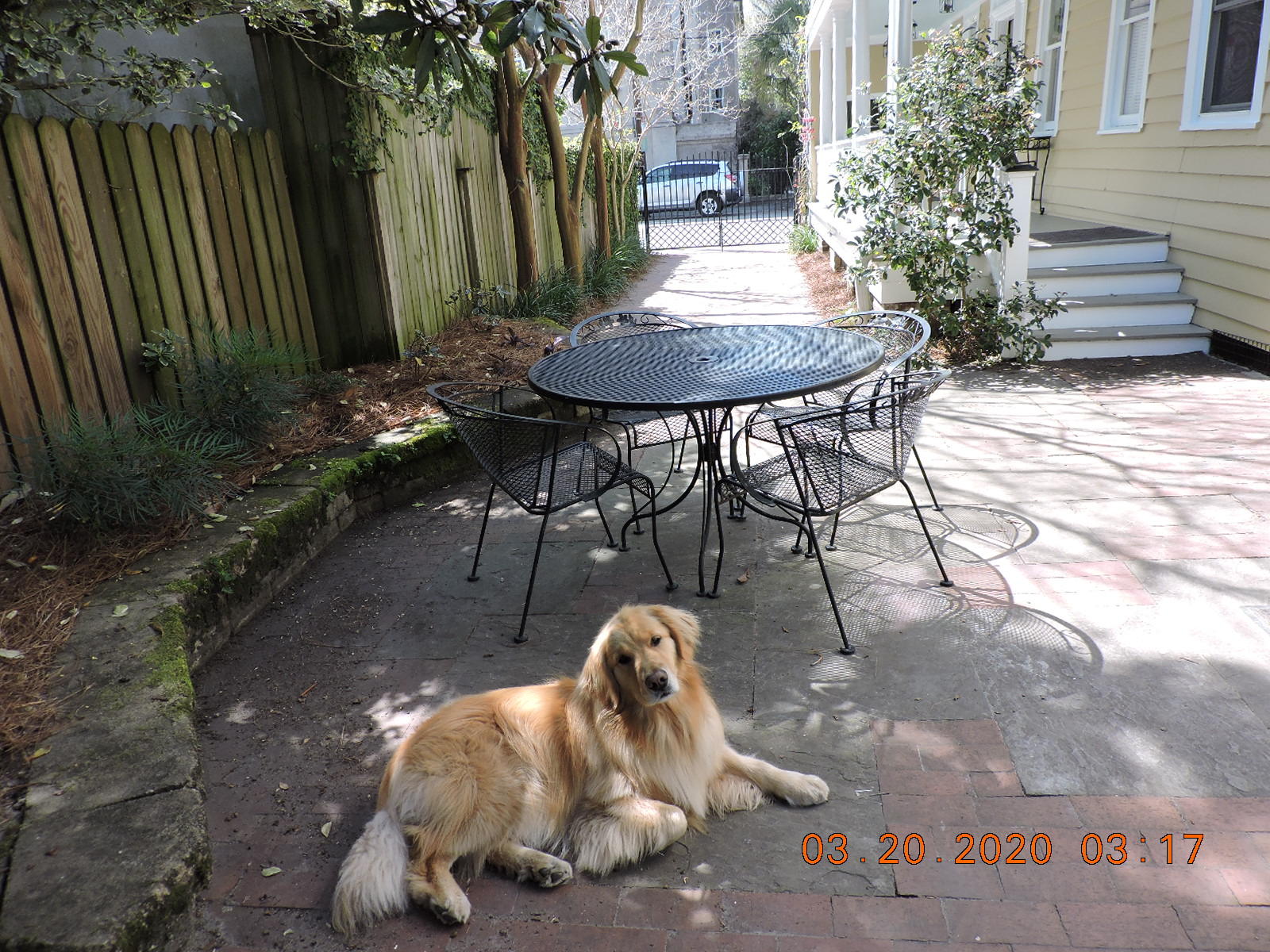 76 Rutledge Avenue Charleston, SC 29401 - Photo 29 of 29 dog does not convey