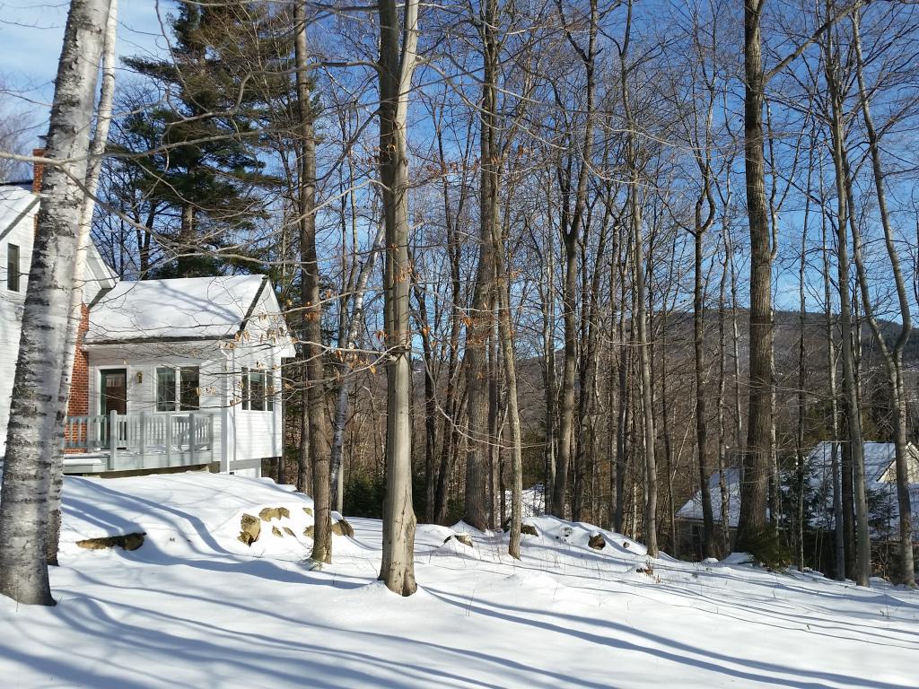 175 Ellis Ridge Road Bartlett, NH 03838 - Photo 3 of 34