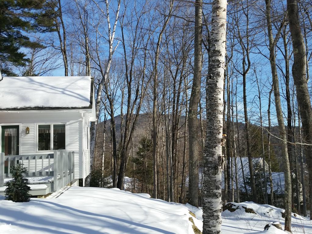 175 Ellis Ridge Road Bartlett, NH 03838 - Photo 33 of 34
