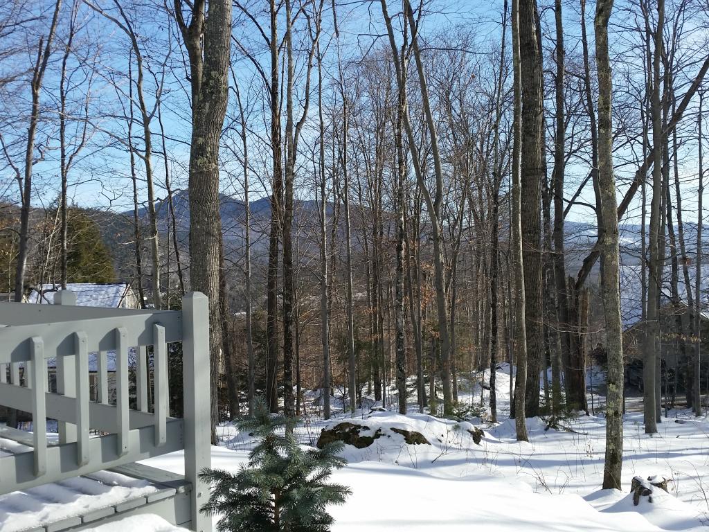 175 Ellis Ridge Road Bartlett, NH 03838 - Photo 34 of 34
