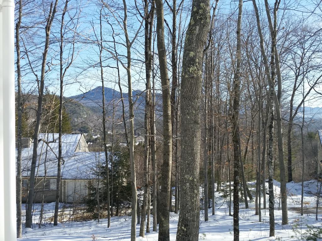 175 Ellis Ridge Road Bartlett, NH 03838 - Photo 5 of 34