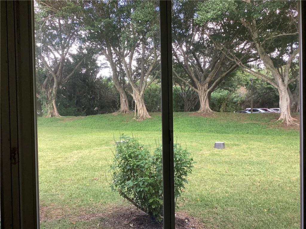 7904 Mansfield Hollow Road Delray Beach, FL 33446 - Photo 23 of 27 a view of a trees in a yard