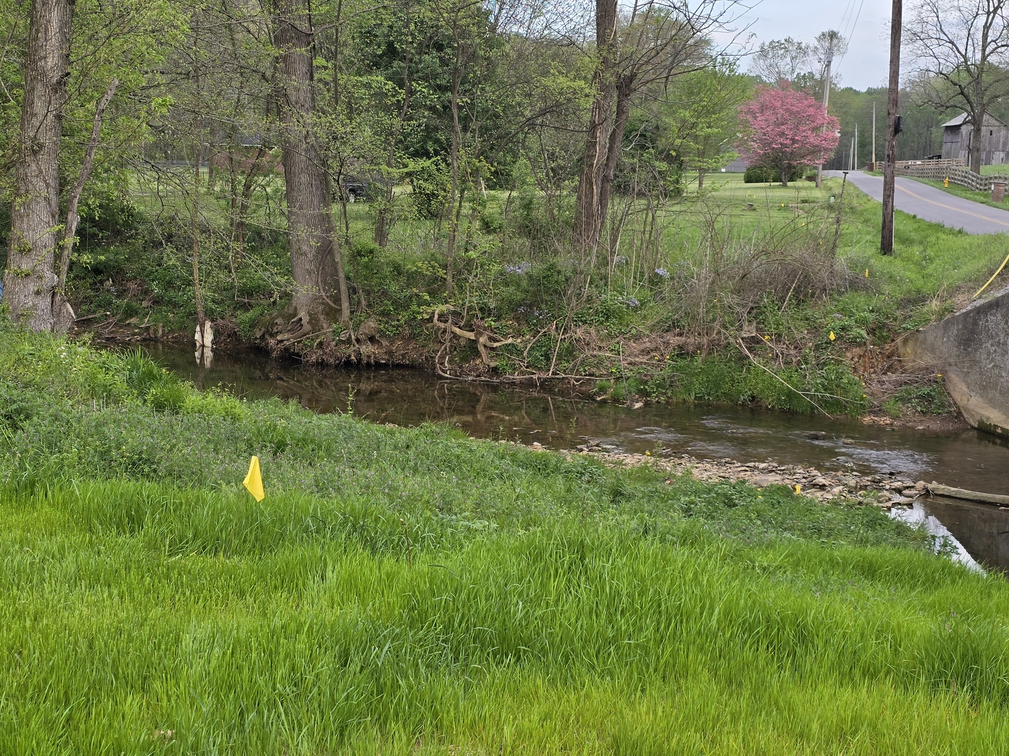 1116 Maxwell Branch Road Cottontown, TN 37048 - Photo 11 of 57 Creek on Property. The property line goes to the center of Creek.