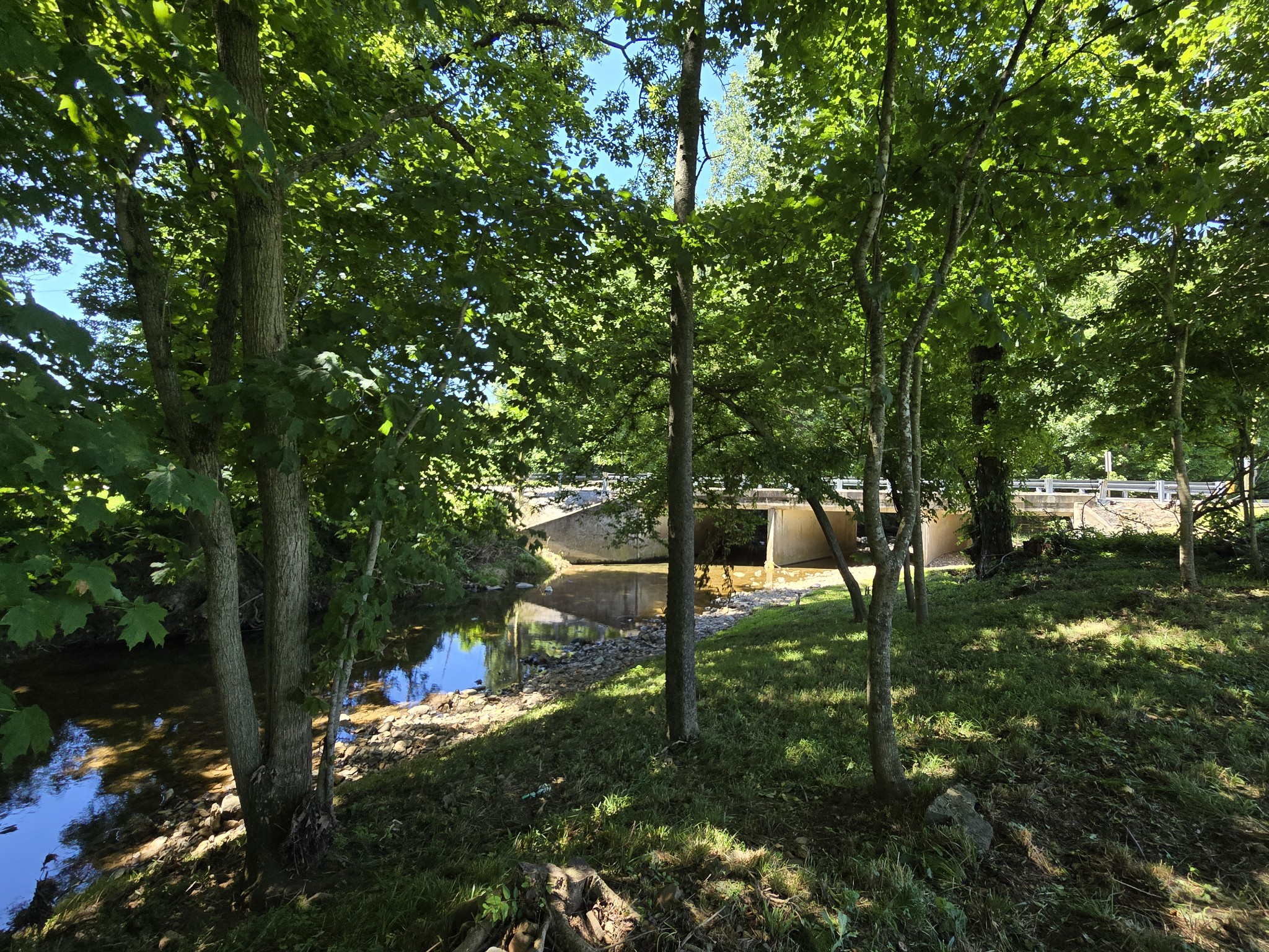 1116 Maxwell Branch Road Cottontown, TN 37048 - Photo 36 of 57