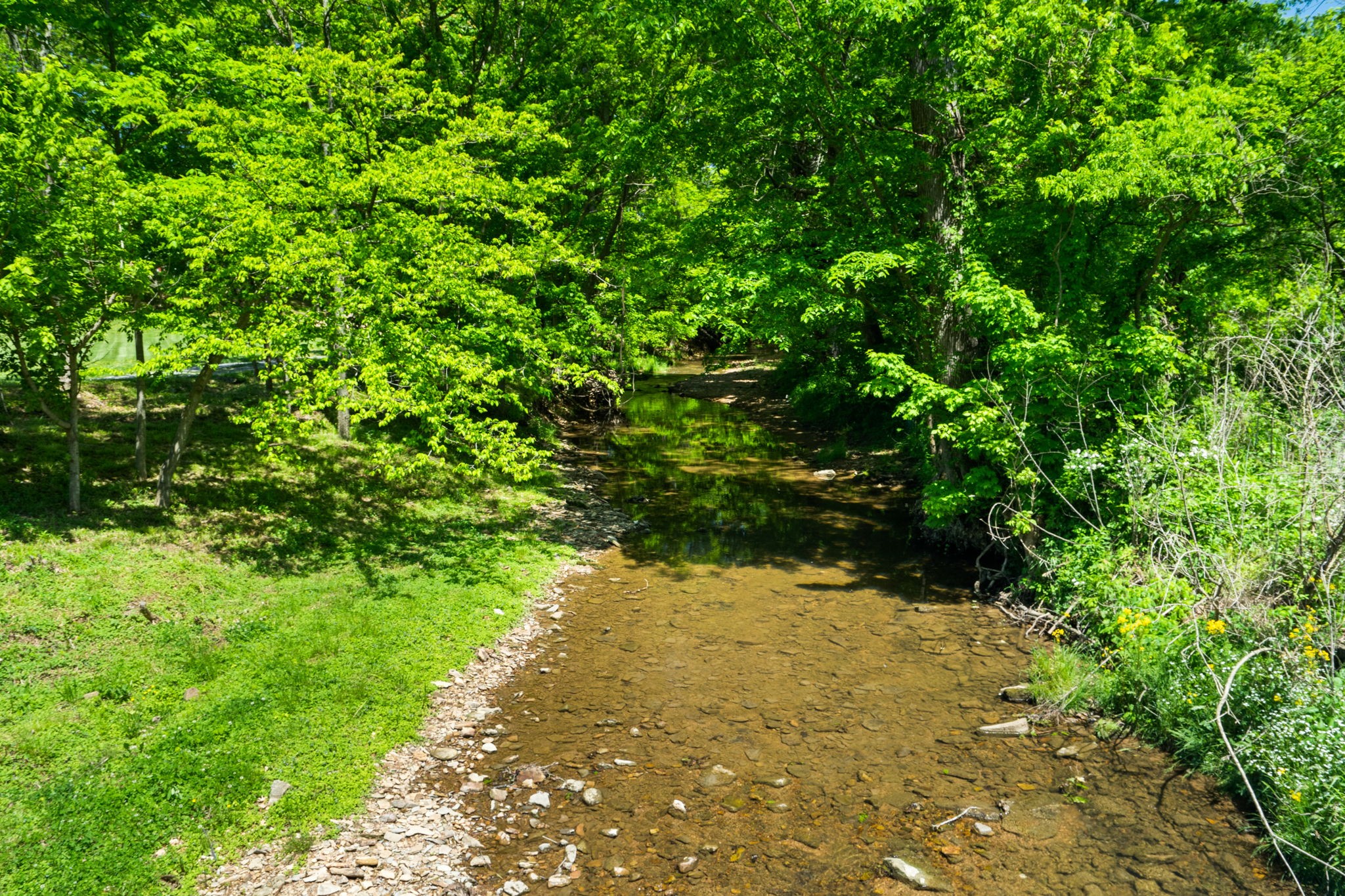 1116 Maxwell Branch Road Cottontown, TN 37048 - Photo 4 of 57 a view of a pathway both side of yard