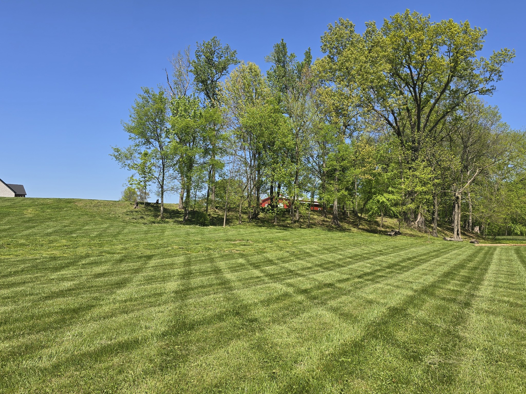 1116 Maxwell Branch Road Cottontown, TN 37048 - Photo 9 of 57 The topography of this tract may be suitable for a Home with Basement, if desired.