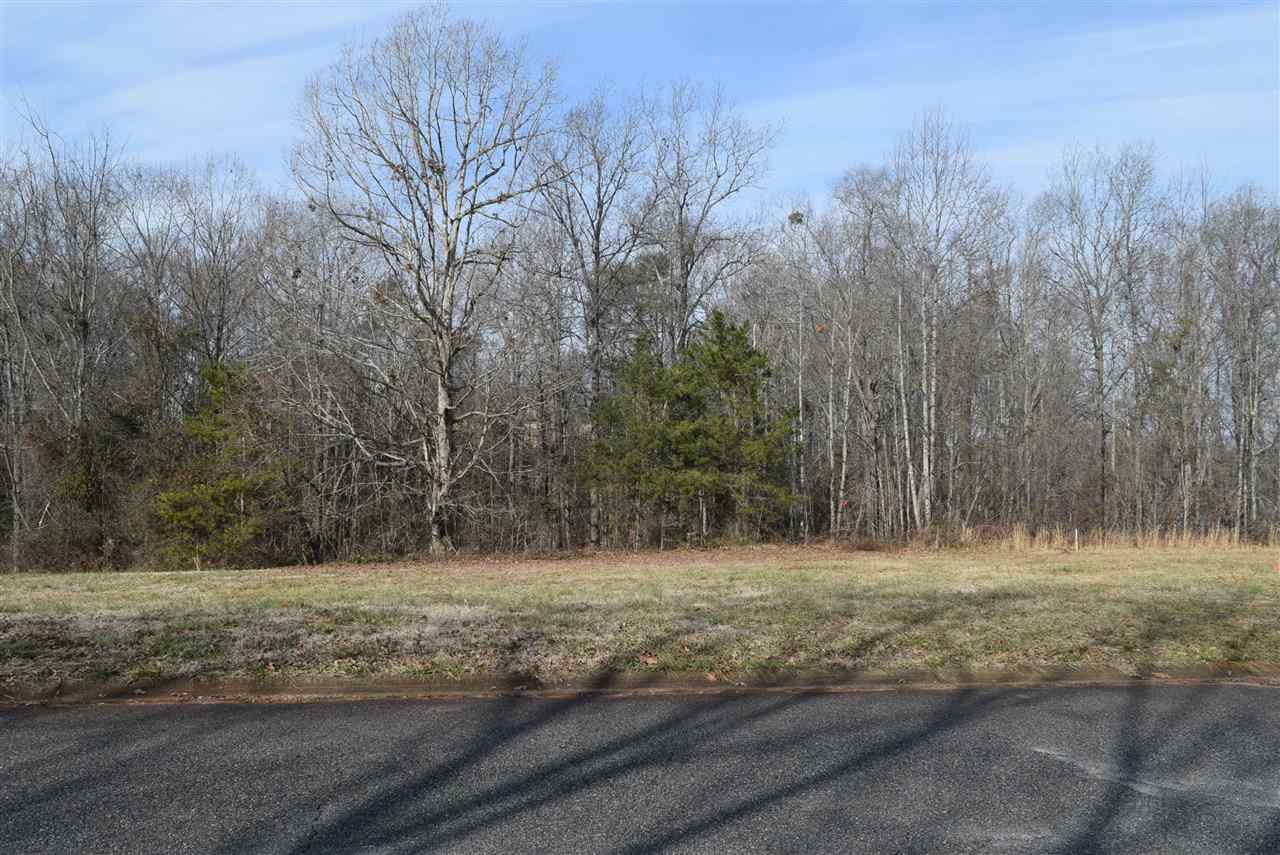 426 Tangleridge Court Inman, SC 29349 - Photo 1 of 8